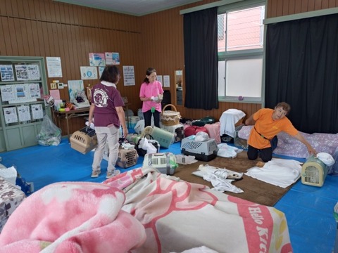 20250625_102930_copy_800x600