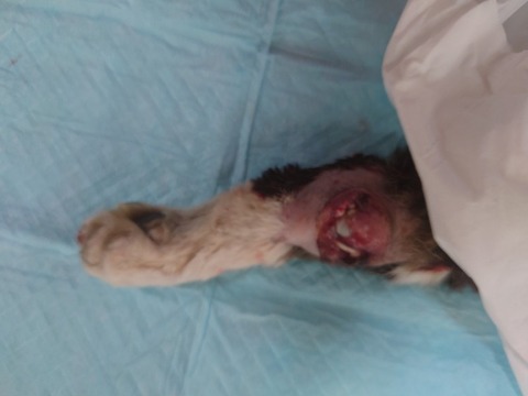 20230223_121927_copy_800x600