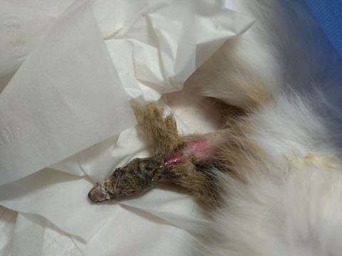 20251123_114627_copy_800x600