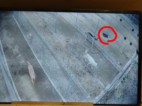 20260306_135603_copy_800x600~2