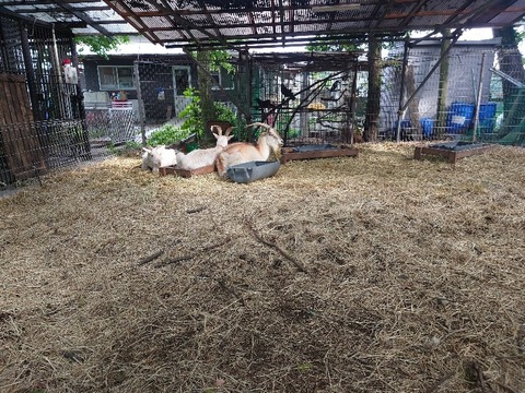 20230606_154920_copy_800x600