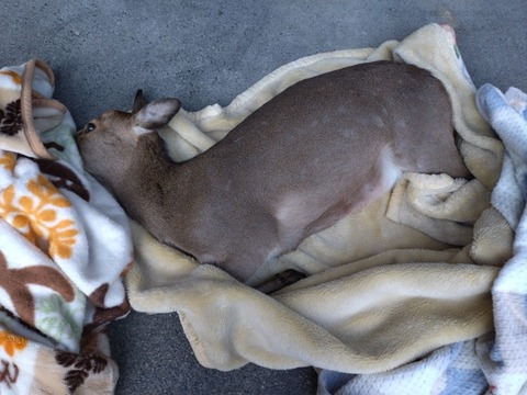 20250223_082921_copy_800x600