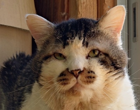 20260307_114114_copy_800x631