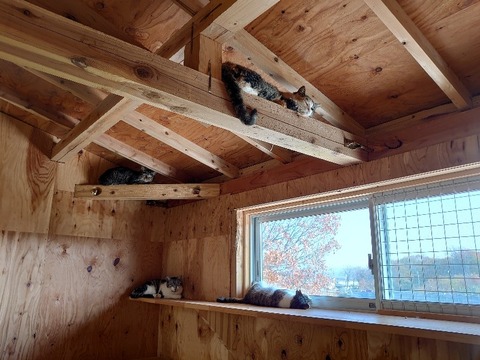 DSC_1273_copy_800x600