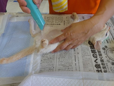 20220725_093326_copy_800x600