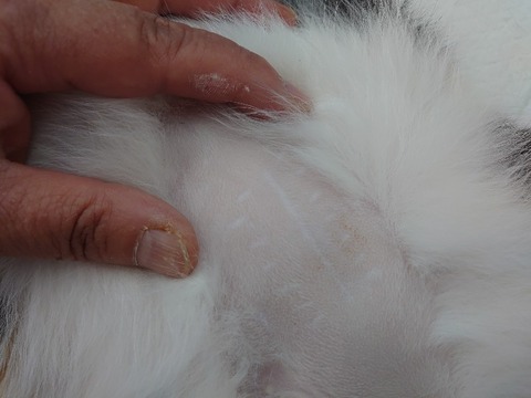 DSC_3381_copy_800x600