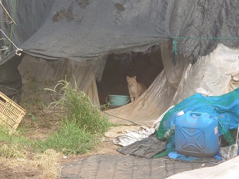 DSC_5999_copy_800x600