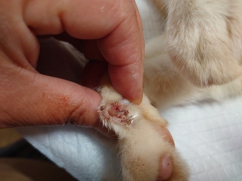 DSC_0848_copy_800x600