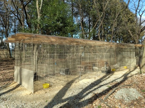 20260202_134111_copy_800x600