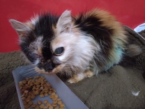 20260221_083723_copy_800x600