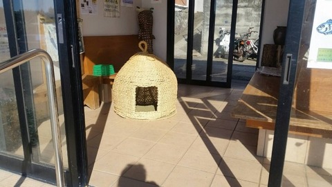 1544932363376-800x450