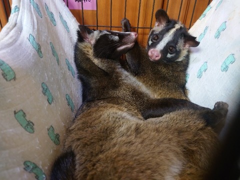 20240229_214632_copy_800x600