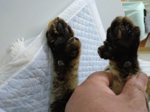 20251224_135448_copy_800x600