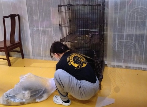 20260222_080231_copy_3167x2313~2_copy_800x584