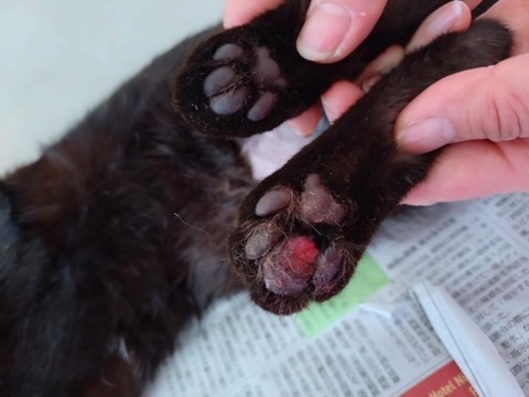 20250220_101346_copy_800x600