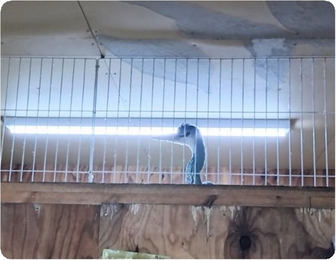 20241231_164357~2_copy_800x600