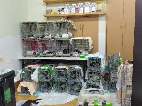 20240808_101205_copy_800x600