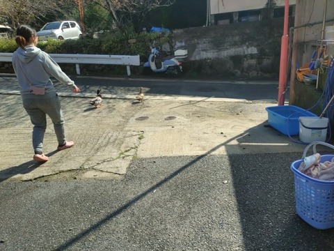 20260323_092558_copy_800x600