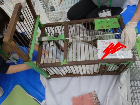 20251207_091355~2_copy_800x600