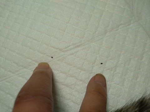 20251007_094211_copy_800x600