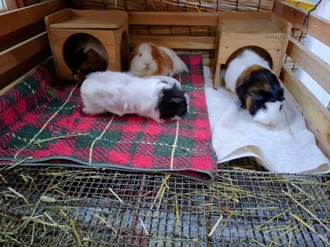 20240405_154502~2_copy_800x600