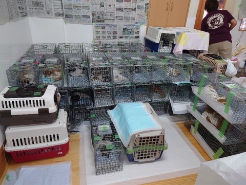 20231116_115532_copy_800x600