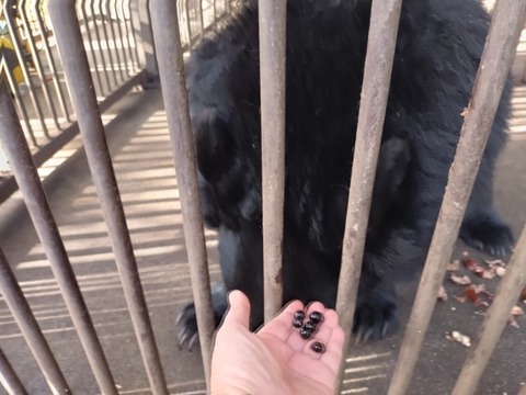 20251102_081806_copy_800x600