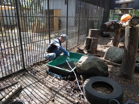 20250421_141742_copy_800x600