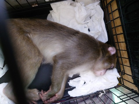 20230518_141113_copy_800x600