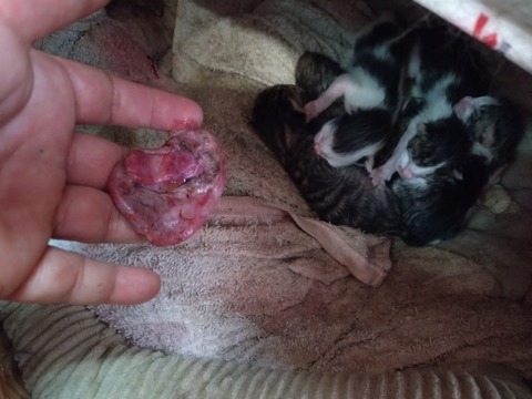 20250625_100456_copy_800x600