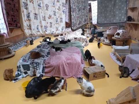 20260203_175843_copy_800x600