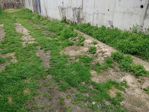 DSC_6377_copy_800x600