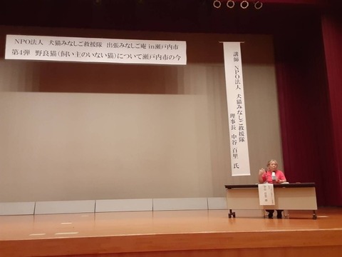 1750575988300_copy_738x554