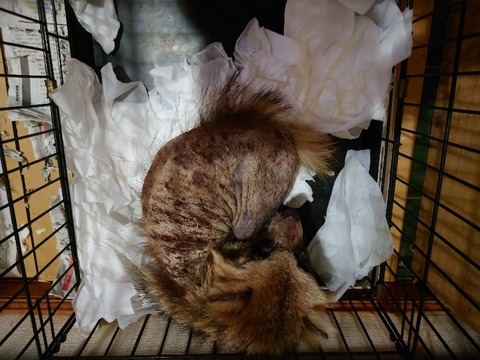 20230301_104017_copy_800x600