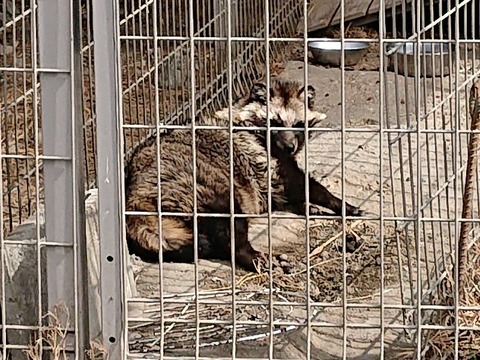 DSC_5784_copy_800x600