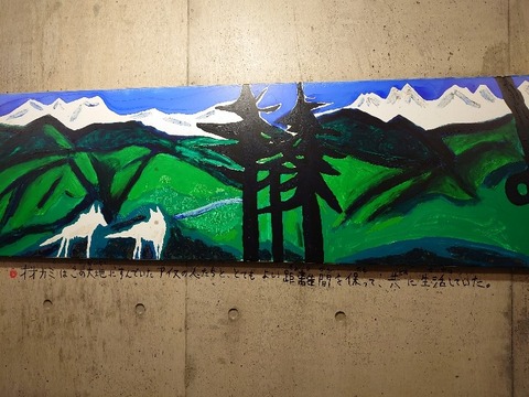 DSC_0328_copy_800x600