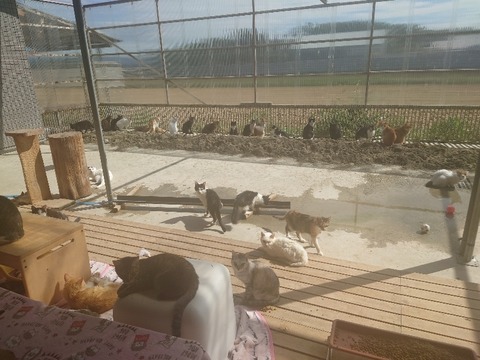 20221014_120046_copy_800x600