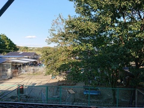 DSC_3498-800x600