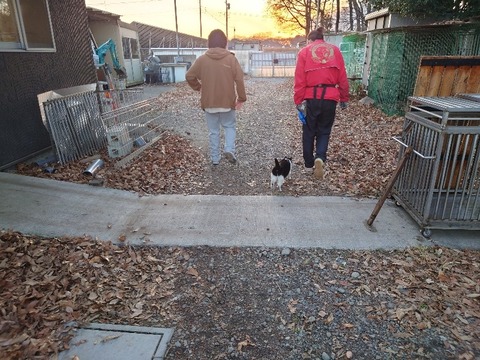 20231225_161550_copy_800x600