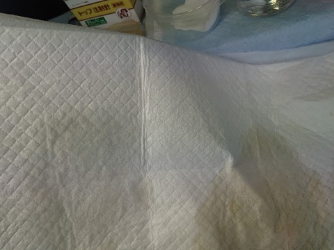 DSC_1701_copy_800x600