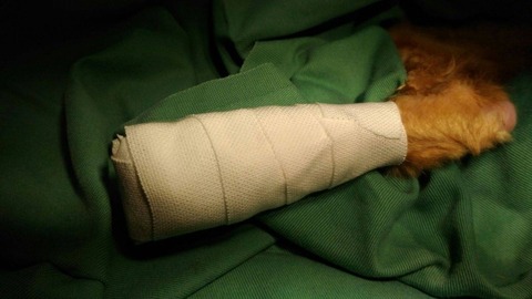 1765444190048_copy_800x450