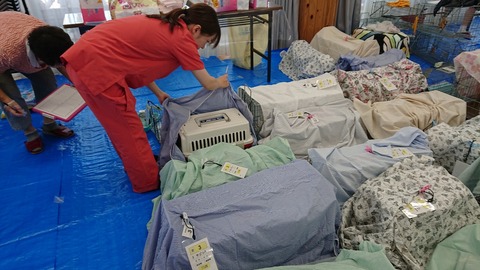 DSCPDC_0001_BURST20180718090017002-1376x774