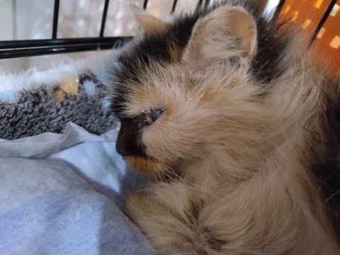 20260119_082506_copy_800x600