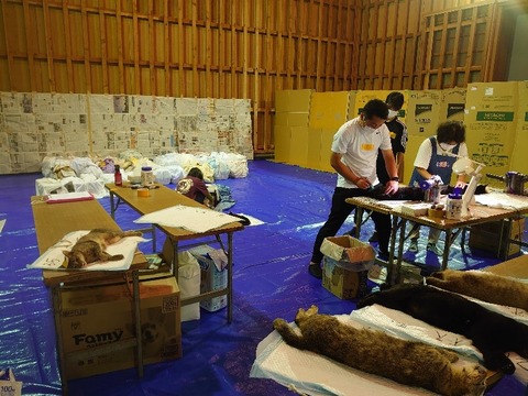 DSC_1628_copy_800x600