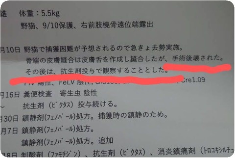 1697615993762-0_copy_718x482~2