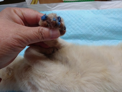 20230129_105223_copy_800x600