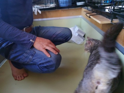 20230510_071912_copy_800x600