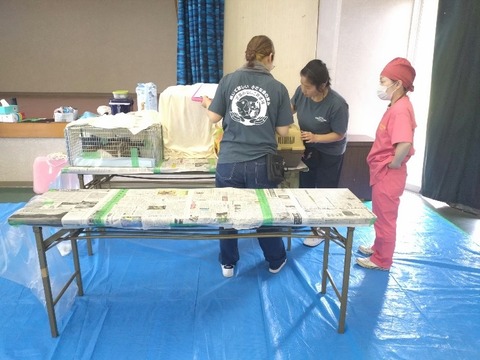 20240521_082451_copy_800x600