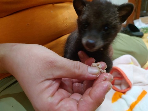 20250619_202627_copy_806x604