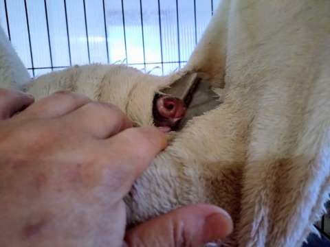 20260224_074350~2_copy_800x600